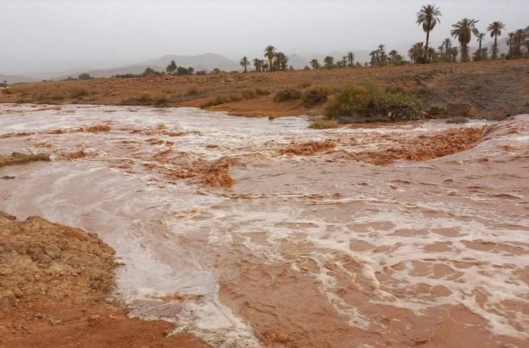 أمطار رعدية بعدد من الأقاليم الجنوبية