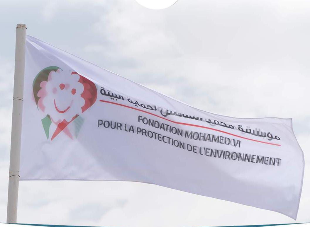 “حملة بحر بلا بلاستيك: مبادرة على البيئة البحرية وتوعية الأطفال