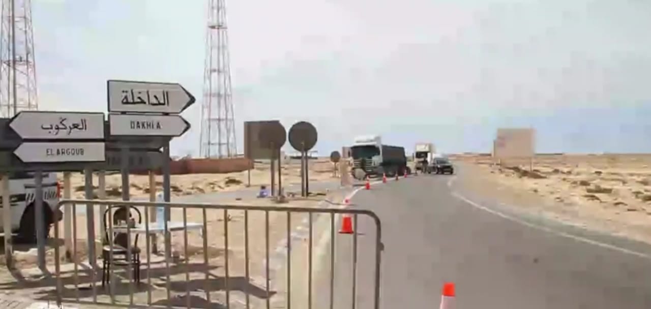 الداخلة .. الدرك الملكي يحبط تهريب كميات من أسماك “الصول” وصدفيات “اللميعة”