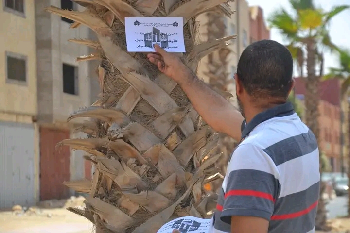 حملة “أوقفوا غرس النخيل وأكثروا من زراعة الأشجار بمدينة العيون”