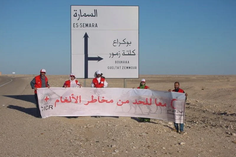 حملات تحسيسية بالصحراء تروم مواجهة خطر ألغام “ميليشيات البوليساريو”<figure class="figure-heading-post" style="box-sizing: border-box; scrollbar-color: var(--sport-primary-color) transparent; scrollbar-width: thin; margin-bottom: 1rem; font-family: hespress-medium, sans-serif; font-size: 16px; font-weight: 400; text-align: right; white-space-collapse: collapse;"><div class="post-thumbnail featured-img" style="box-sizing: border-box; scrollbar-color: var(--sport-primary-color) transparent; scrollbar-width: thin; position: relative; margin-right: 0px; margin-left: 0px;"><div class="ratio-medium" style="box-sizing: border-box; scrollbar-color: var(--sport-primary-color) transparent; scrollbar-width: thin; width: 530px; padding-top: 349.797px; position: relative; overflow: hidden;"></div></div></figure>