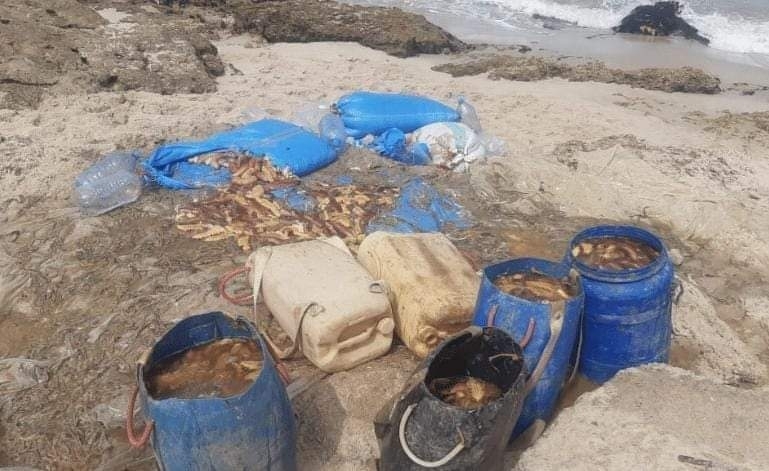 تنسيق أمني بالعيون يمكن من حجز كميات مهمة من خيار البحر المحظور اصطياده