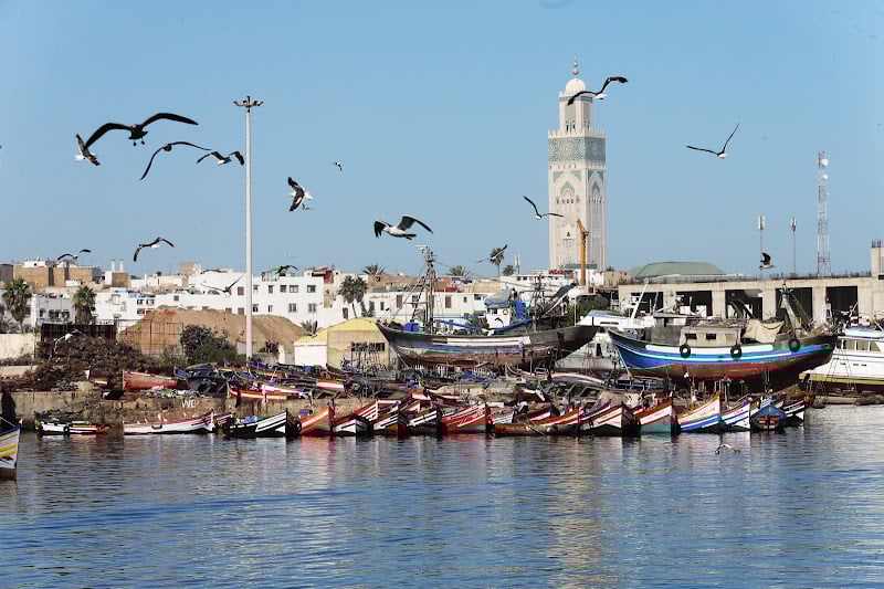الصيادون المغاربة يرصدون تراجع الثروة السمكية على الواجهة المتوسطية<div class="ratio-medium" style="box-sizing: border-box; scrollbar-color: var(--sport-primary-color) transparent; scrollbar-width: thin; width: 530px; padding-top: 349.797px; position: relative; overflow: hidden;"></div>