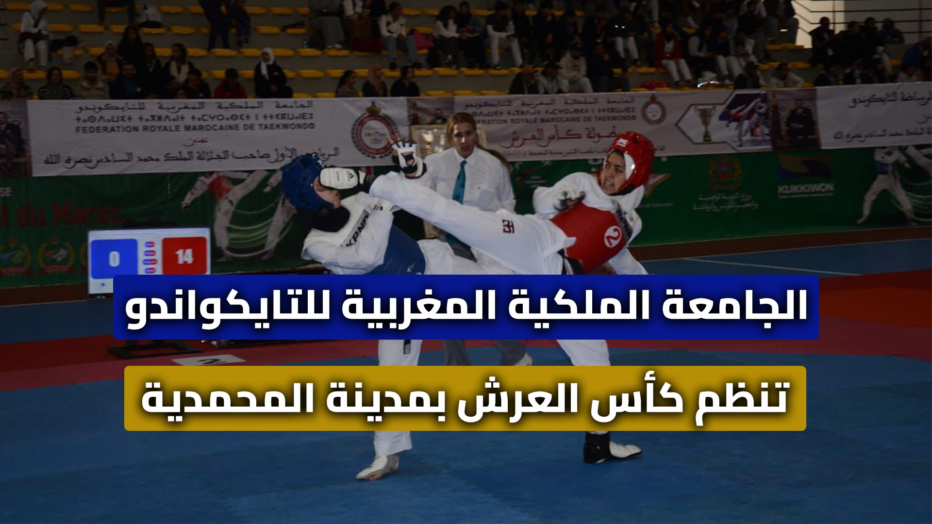 فيديو.. الجامعة الملكية المغربية للتايكواندو تنظم كأس العرش بمدينة المحمدية