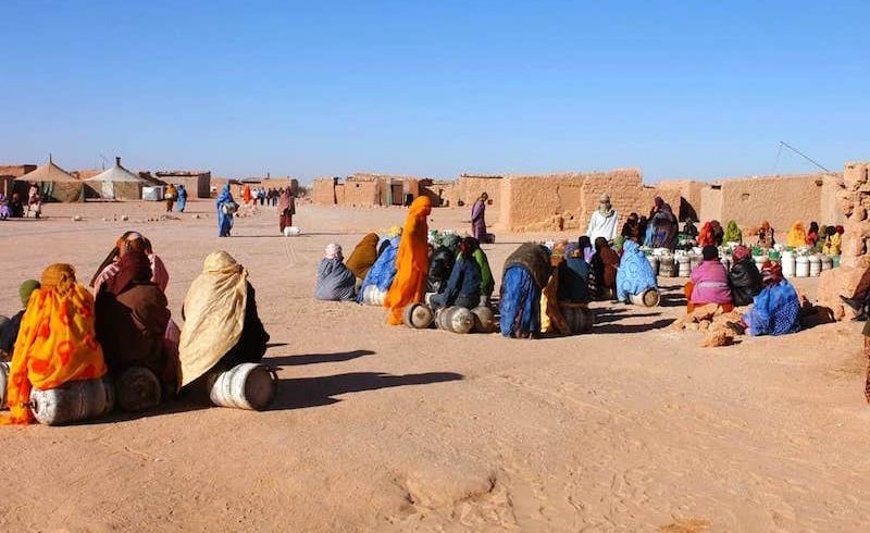 ناشطة دولية تدعو إلى إحصاء السكان المحتجزين في مخيمات تندوف وضمان حقهم في العودة إلى الوطن الأم