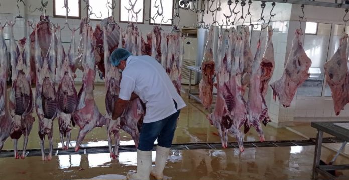 تنفيذاً لتوجيهات ملكية سامية… جهة العيون الساقية الحمراء تتخذ إجراءات مشددة بشأن عيد الأضحى
