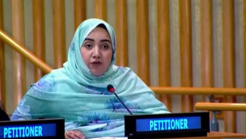 غلا بهية أمام اللجنة الأممية بنيويورك: الحكم الذاتي واقع ملموس وجهة الداخلة قطب اقتصادي صاعد